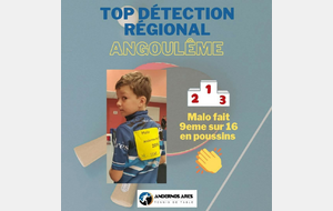 Malo au top de détection régional
